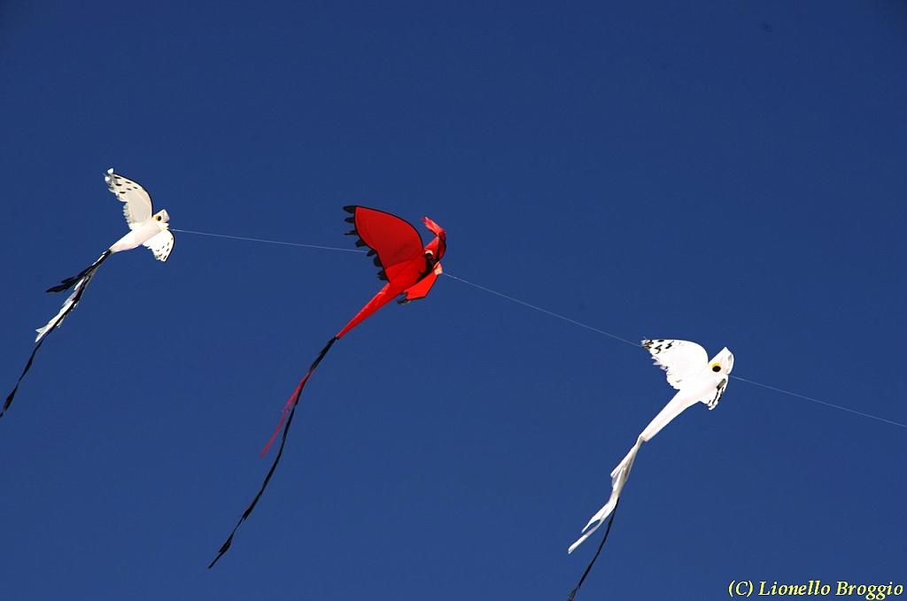 32 FESTIVAL CERVIA 2012 - 210.jpg